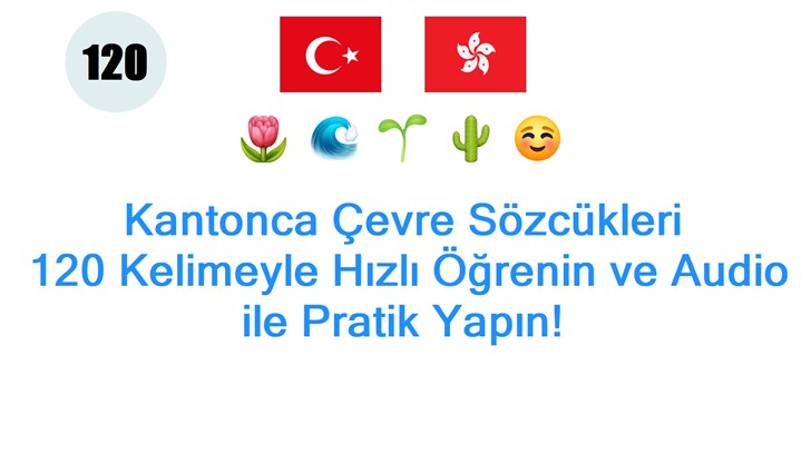 Kantonca Çevre Sözcükleri: 120 Kelimeyle Hızlı Öğrenin ve Audio ile Pratik Yapın!